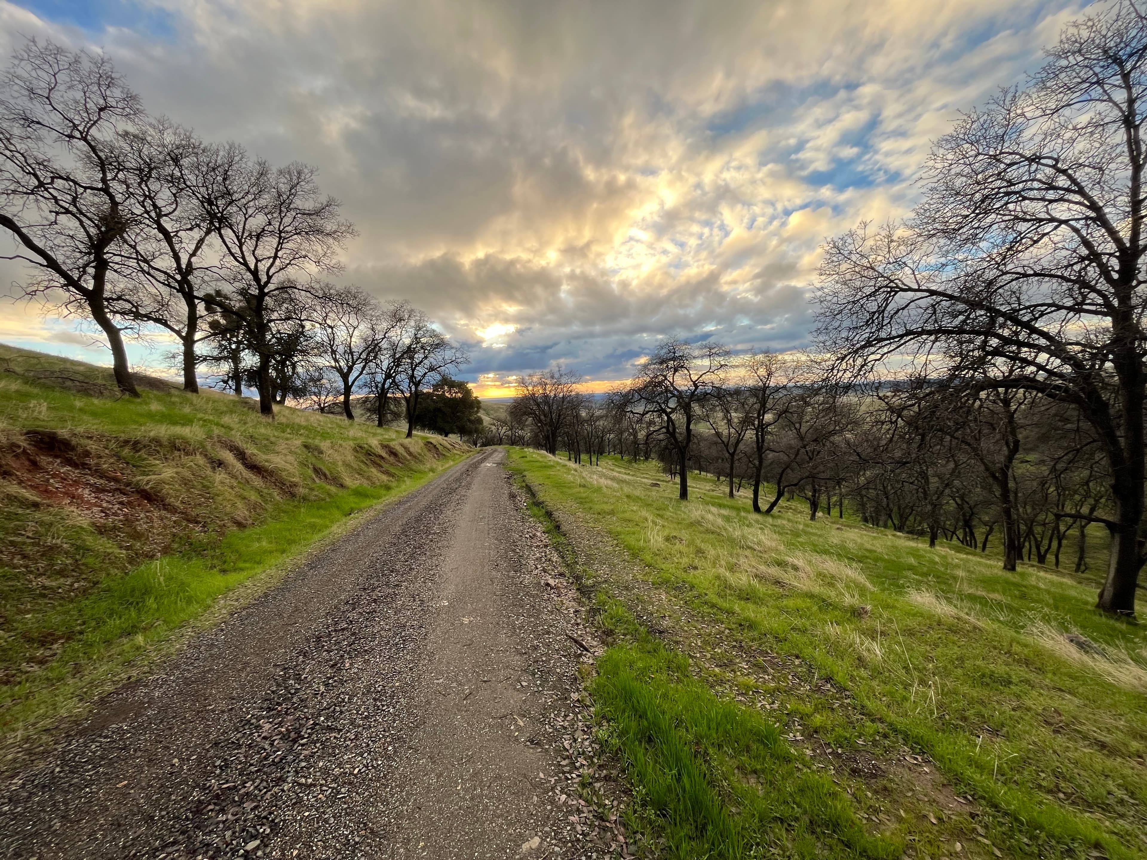 Road built with Mt. Gaines gravel